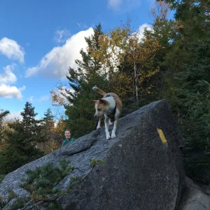 Big adventure