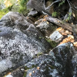 In motion
