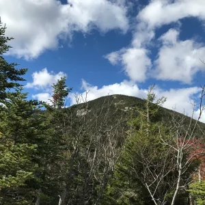 Giant from the col