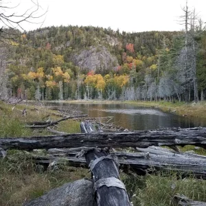Log jam