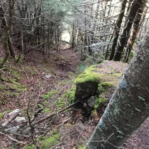 Chute