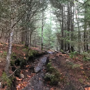 Trail eased a bit