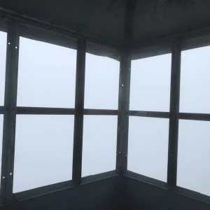 No views today