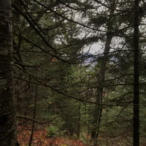 Distant mountains