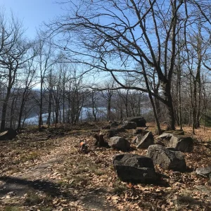 Views west