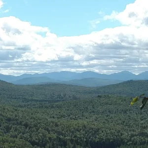 IMG_20160822_130857795.jpg