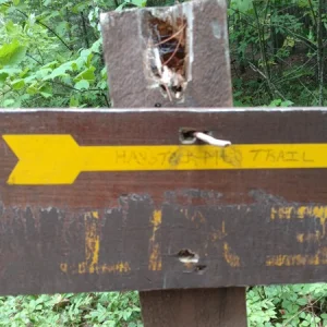Sign.jpg