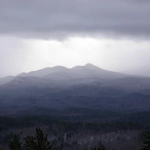P1010036.jpg