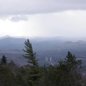 P1010037.jpg