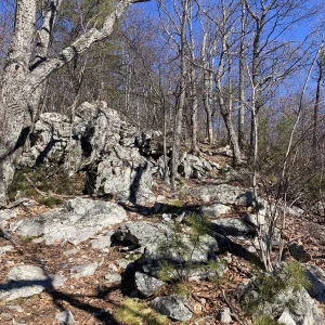 Trail skirts to the right