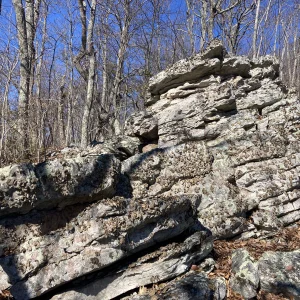 Rocky crown