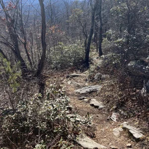 Up on the ridge