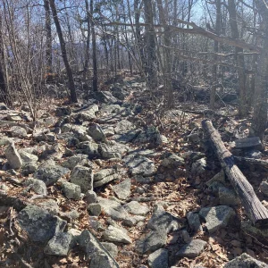 More rock field