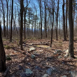 Campsite