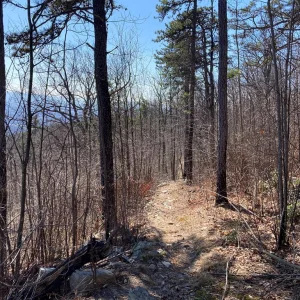 ledge trail