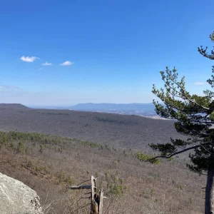 Views northeast