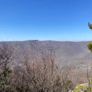 Views west