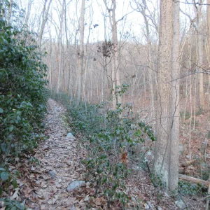 Near start of trail