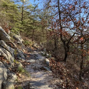 Just a bit rocky