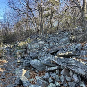 Last rock garden