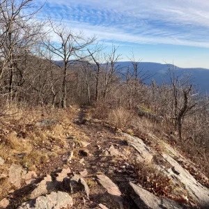 A sample of the trail along the ridge