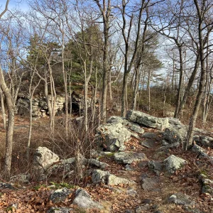 More rocky trail