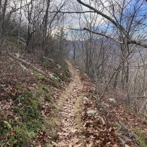 Trail skirting Big Schloss