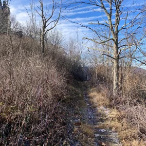 View of trail, north of Big Schloss, looking south