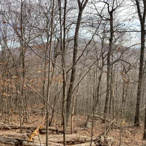 Media 'Waonaze Peak in the distance' in album 'Copernicus Ridge'