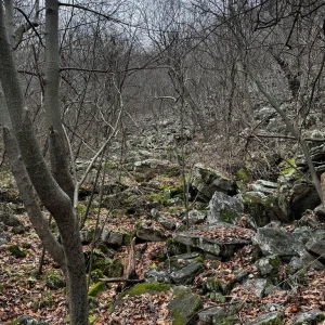 IMG_5879.jpg