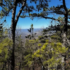View from lookout