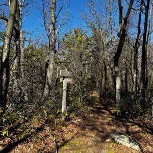 Trail Junction