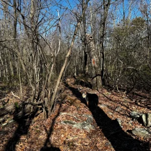 Trail just north of Waonaze Peak