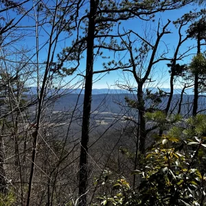 Views of Valley