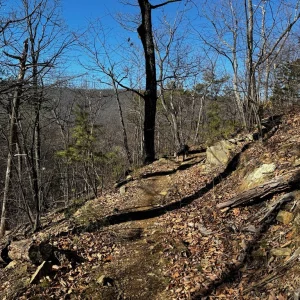 Coming up from Edinburg Gap