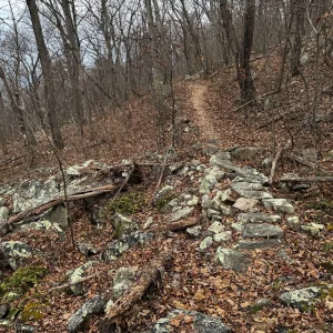 Hand Built Bridge