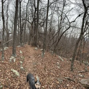 PANO From Ridge