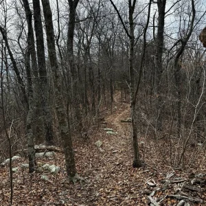 Narrow Section
