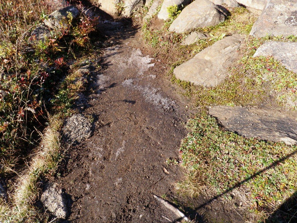 14.JPG