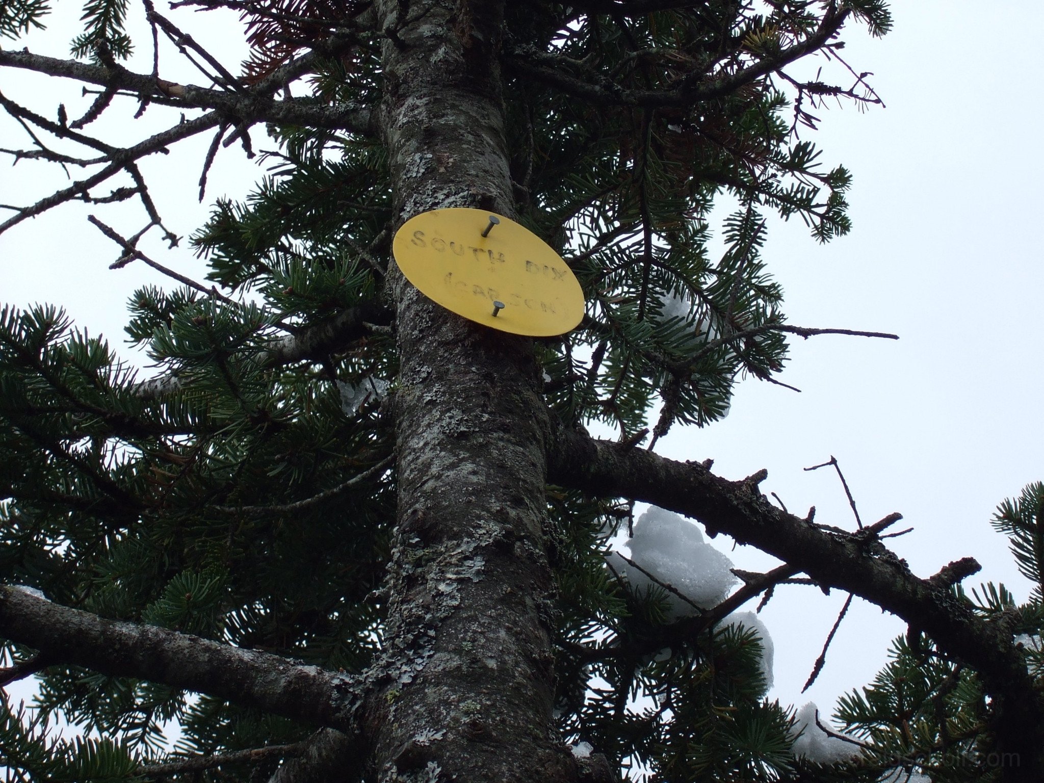 Adk14