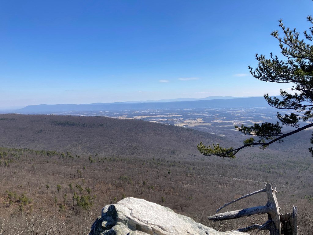 Another view east