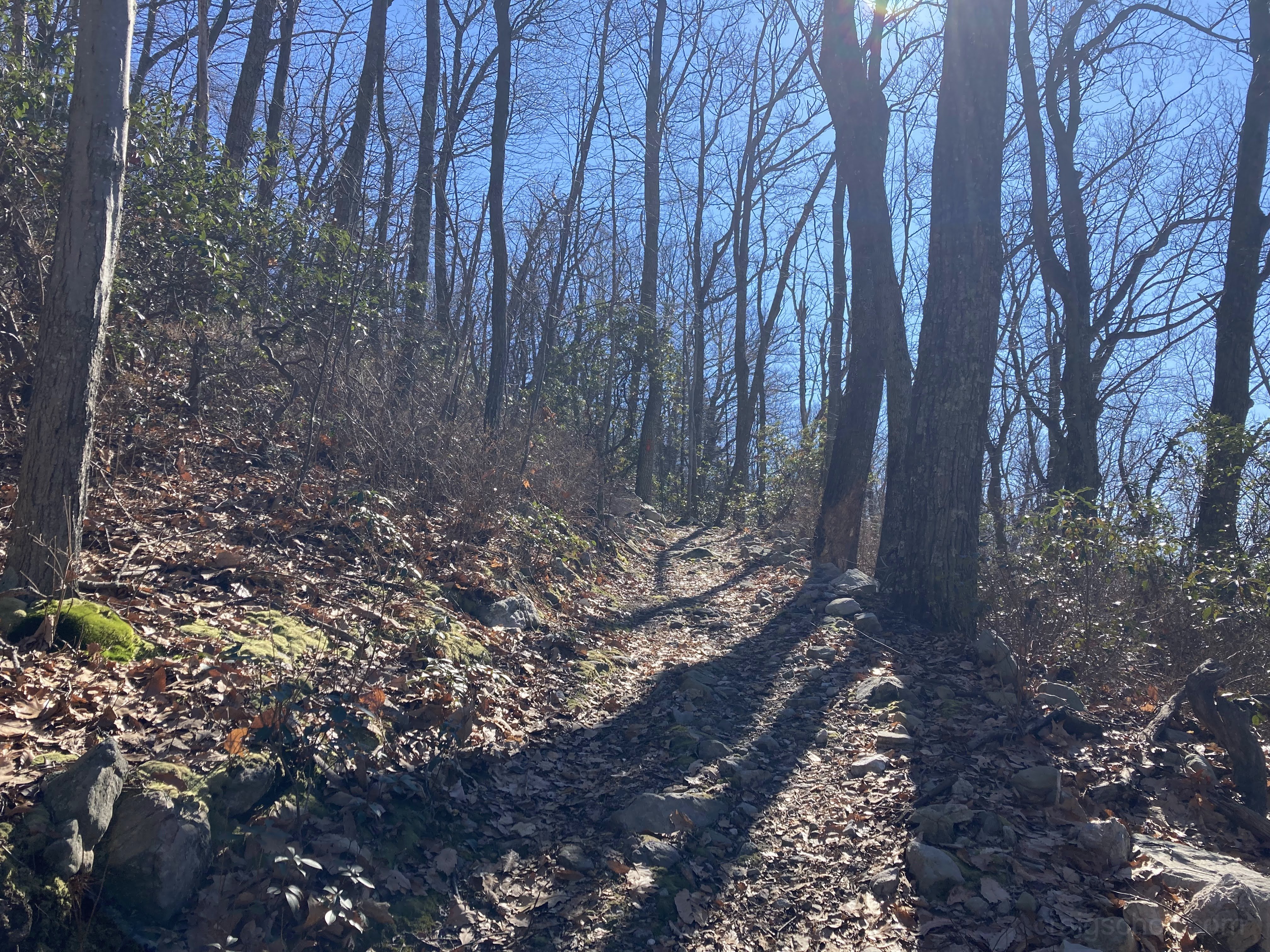 Beautiful day