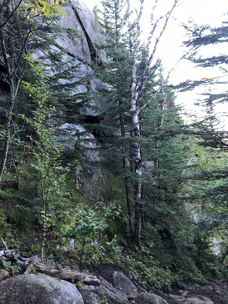 Big head wall