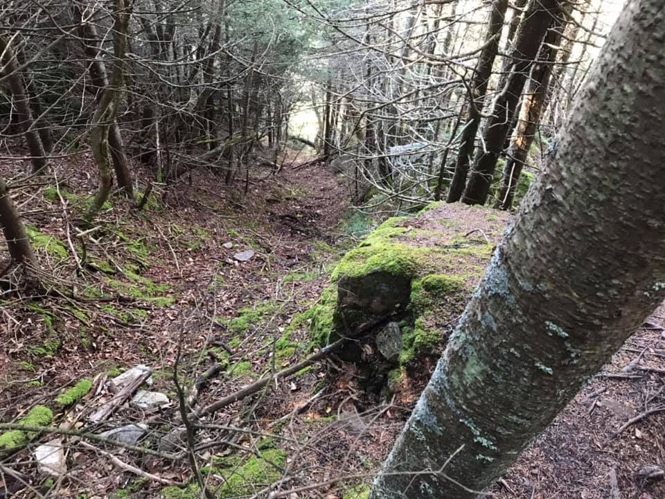 Chute