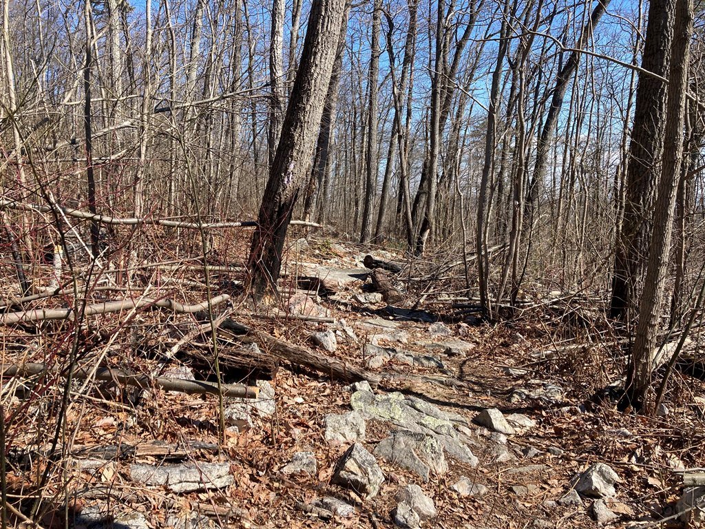 craggy trail.