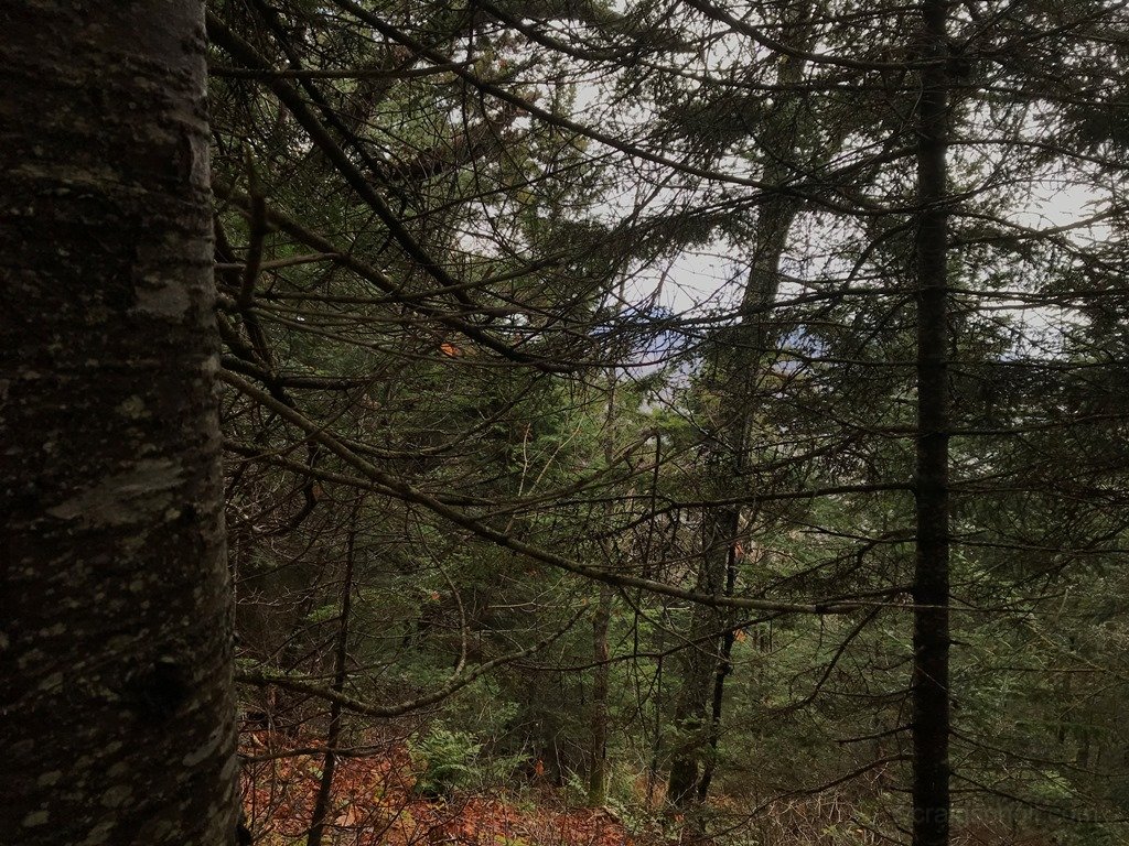 Distant mountains