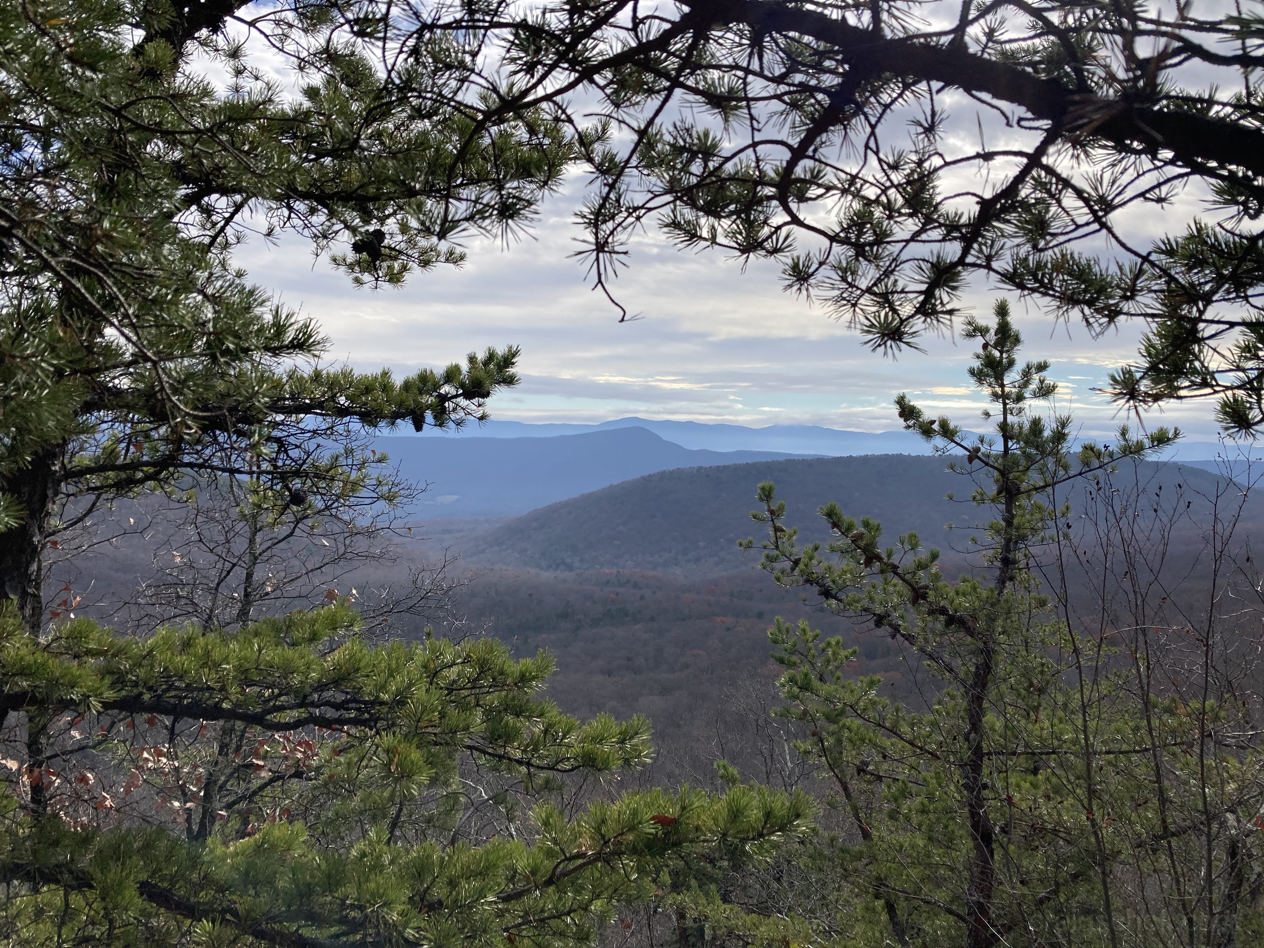 Framed, Fort Valley