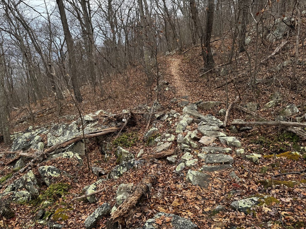 Hand Built Bridge
