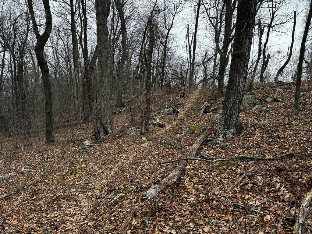 Heading to the Other Side of the Ridge