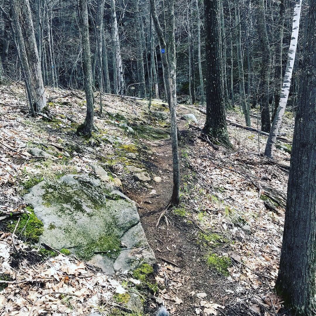 Image-10.jpg